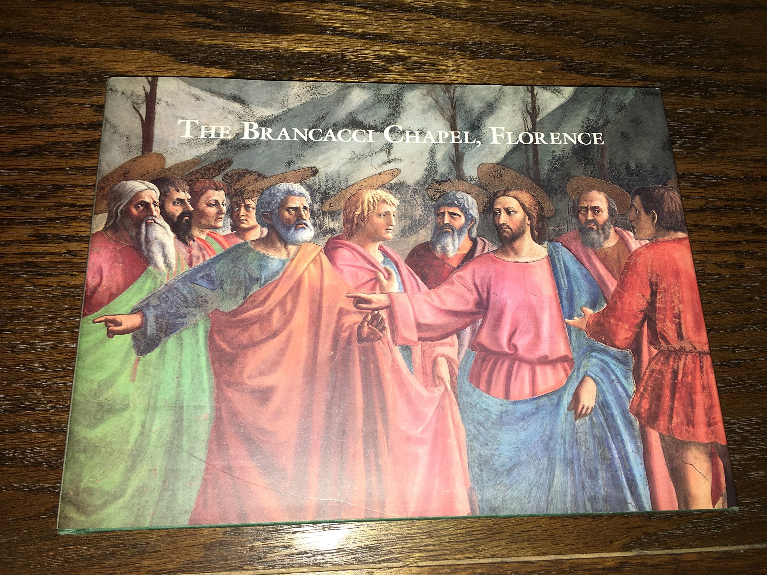 The Brancacci Chapel Florence (Great Fresco Cycles of the Renaissance) used book depot