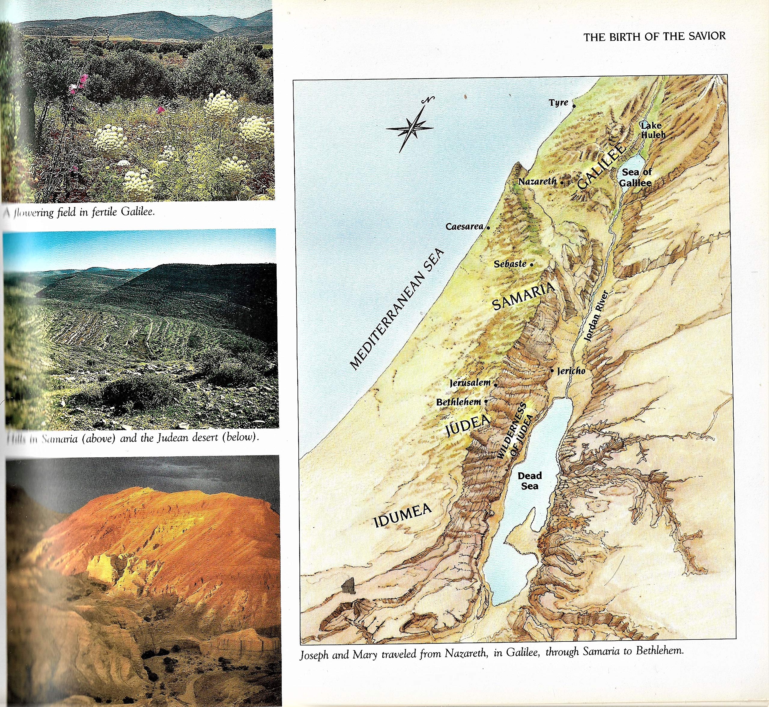 Jesus and His Times (Reader's Digest Books) used book depot