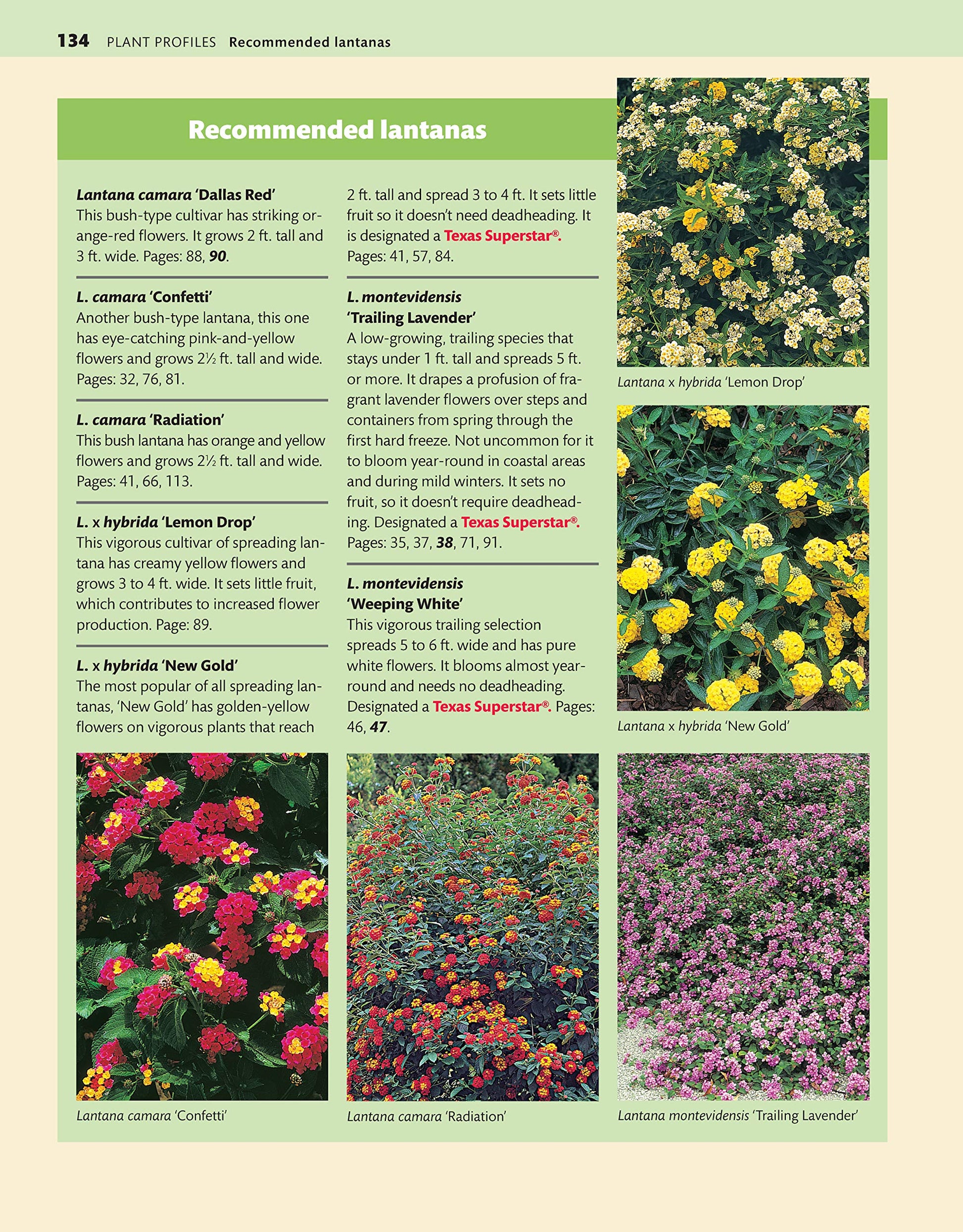 Texas Home Landscaping, 3rd Edition: 48 Landscape Designs, 200+ Plants & Flowers Best Suited to the Region (Creative Homeowner) Gardening Ideas, Plans, and Outdoor DIY Projects for TX and OK used book depot