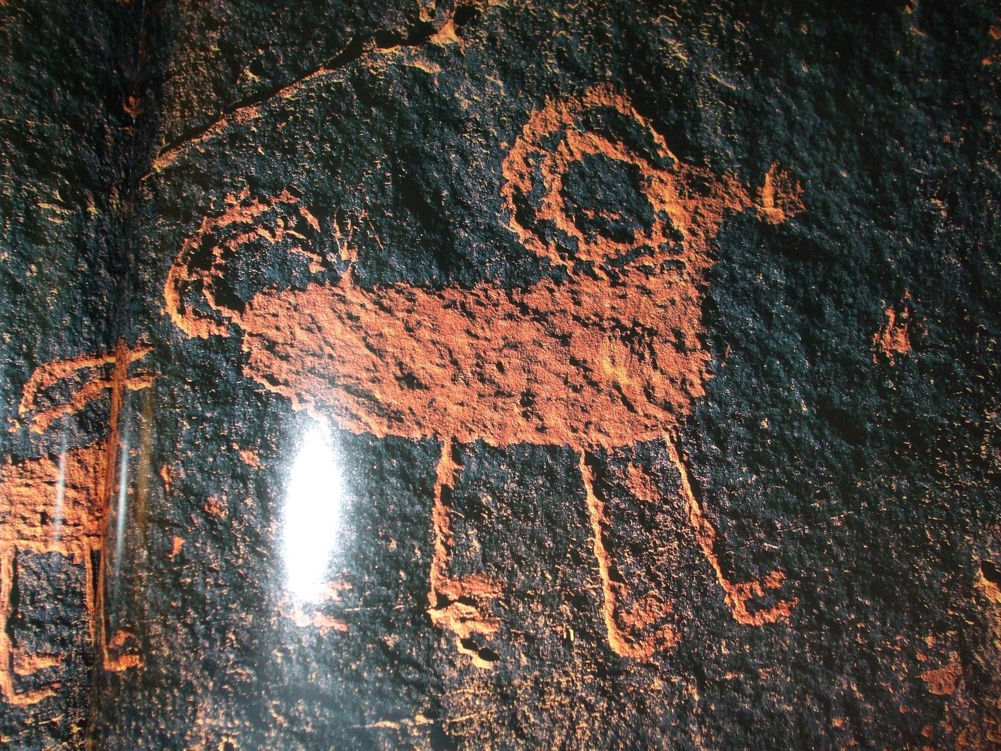 Images in Stone used book depot