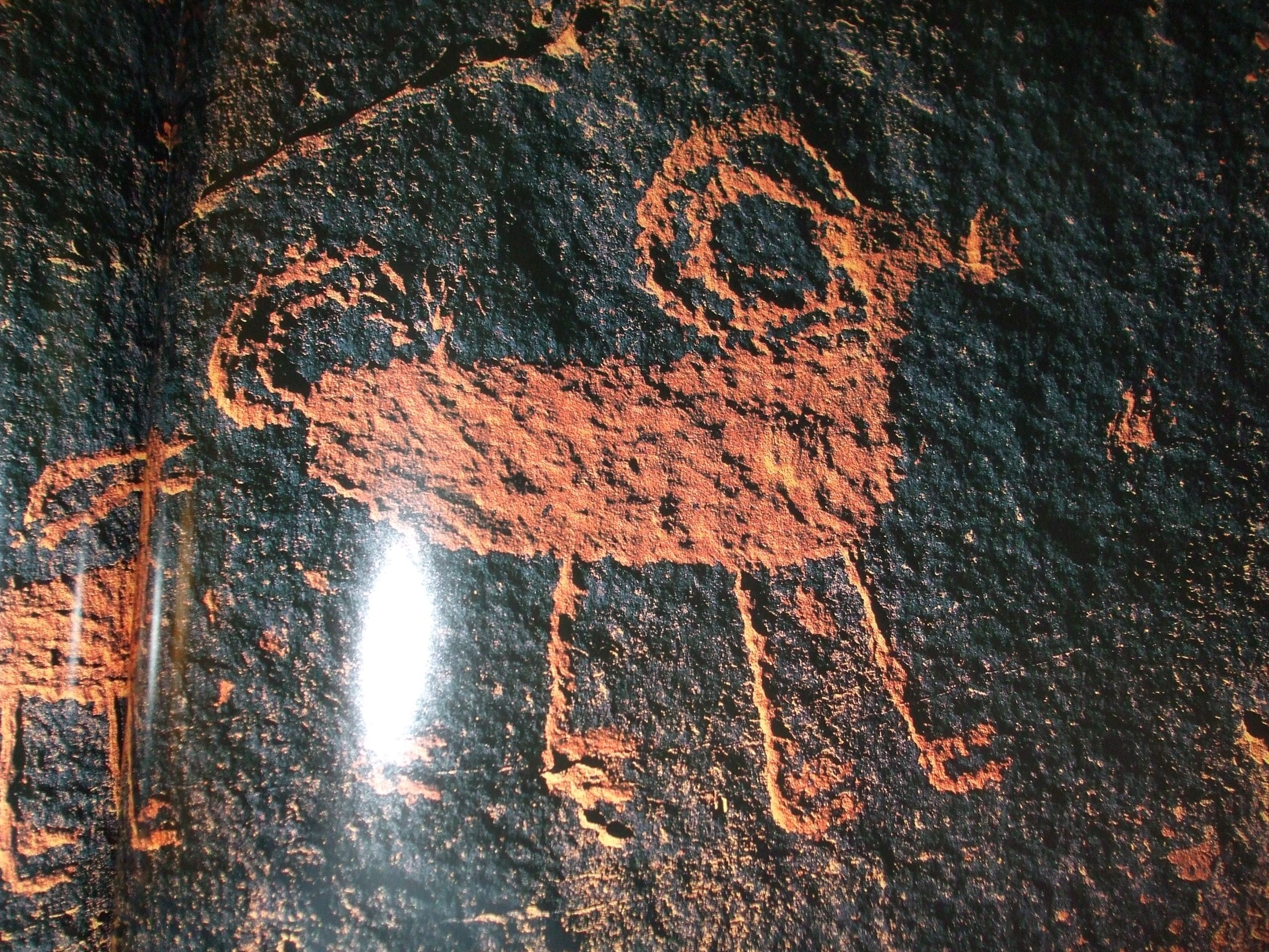 Images in Stone used book depot