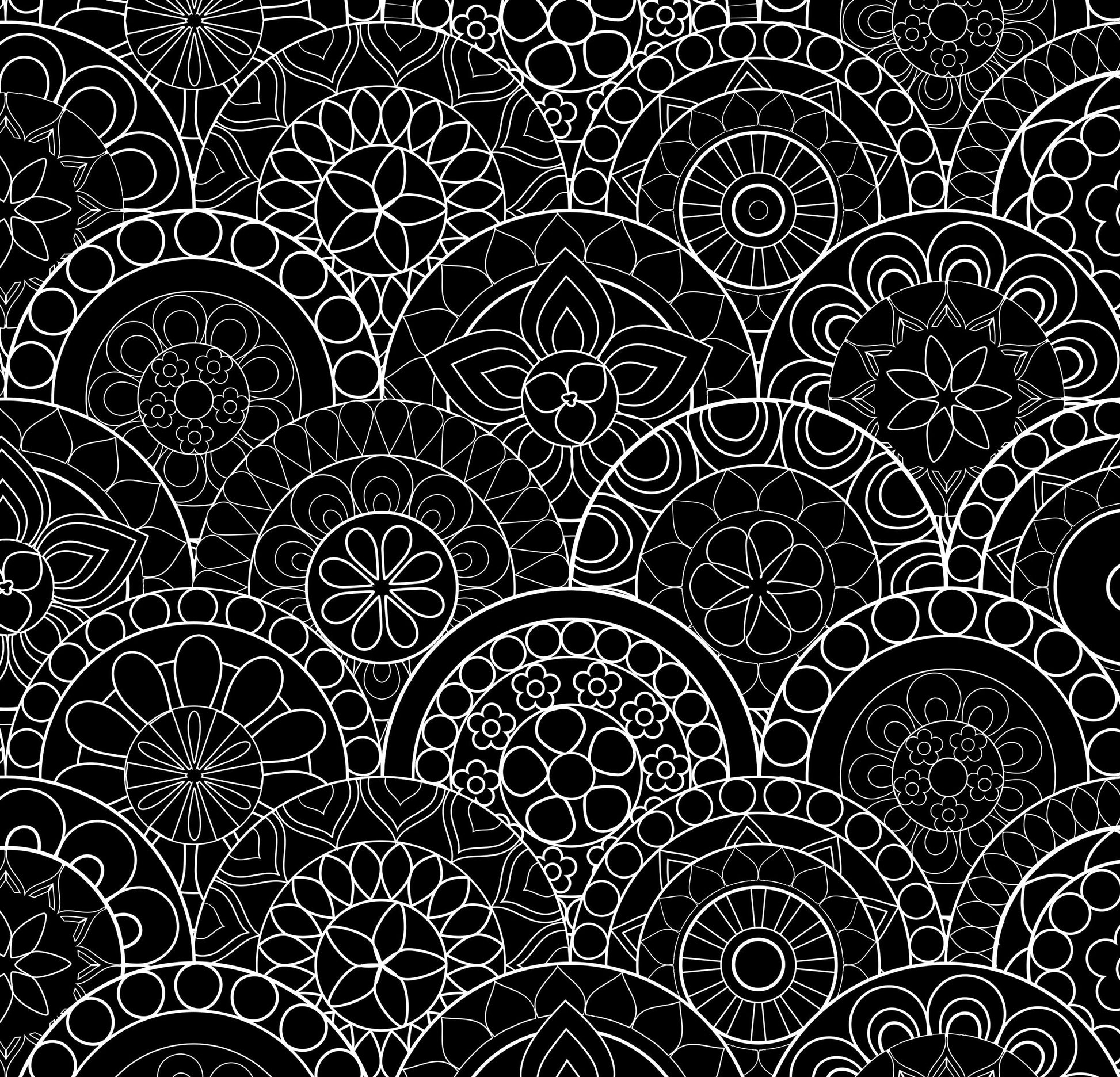 Color Bk Back in Black (Studio) used book depot
