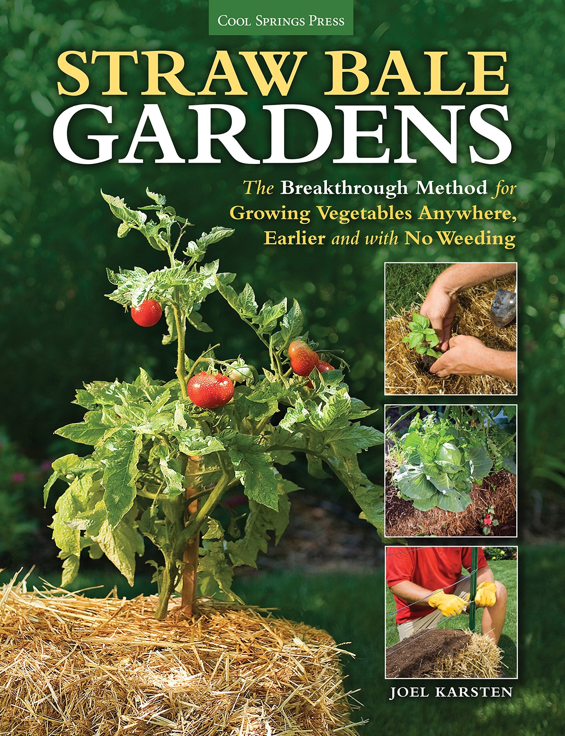 Straw Bale Gardens: The Breakthrough Method for Growing Vegetables Anywhere, Earlier and with No Weeding used book depot