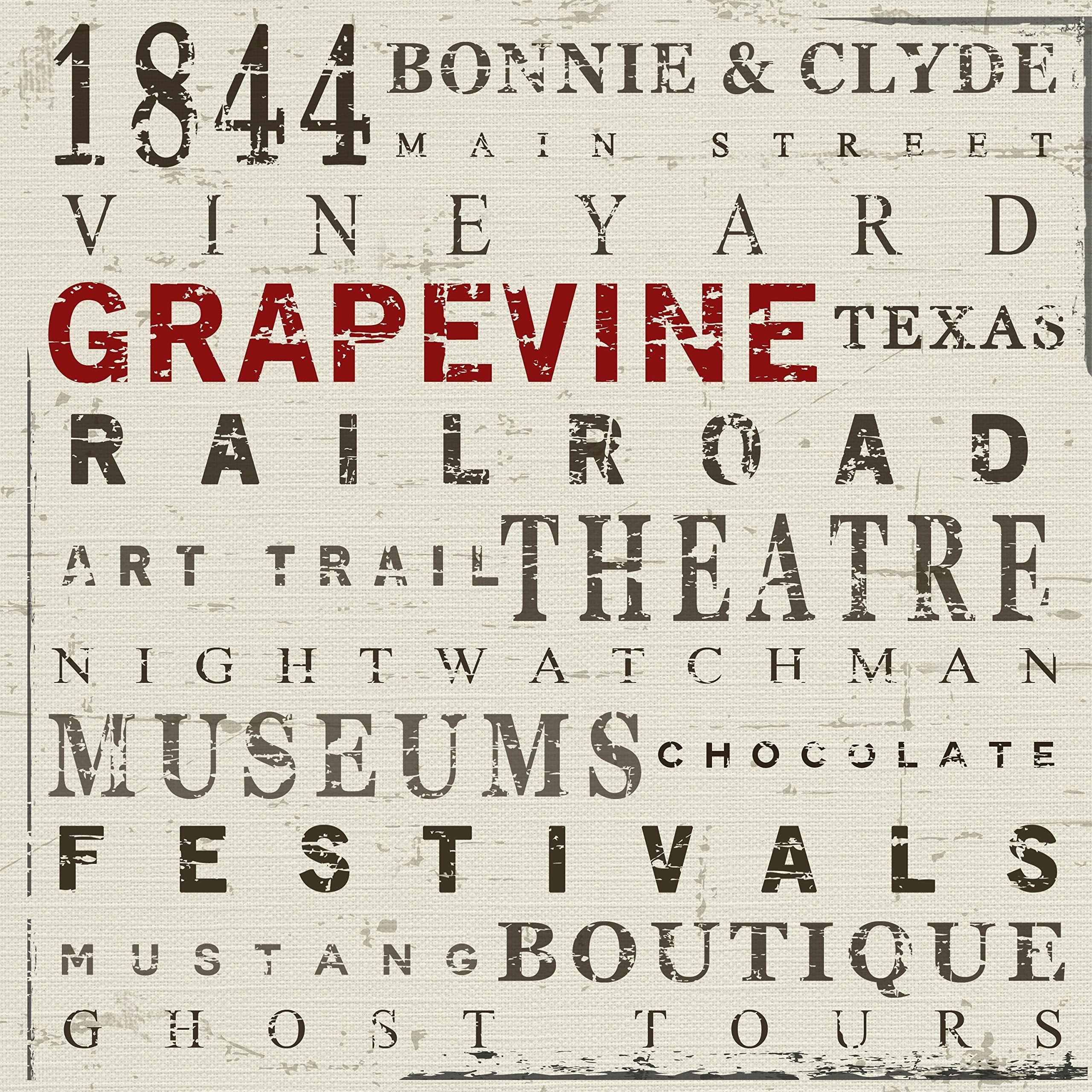 Grapevine: A Visual Journey Through a Beloved Texas Town used book depot