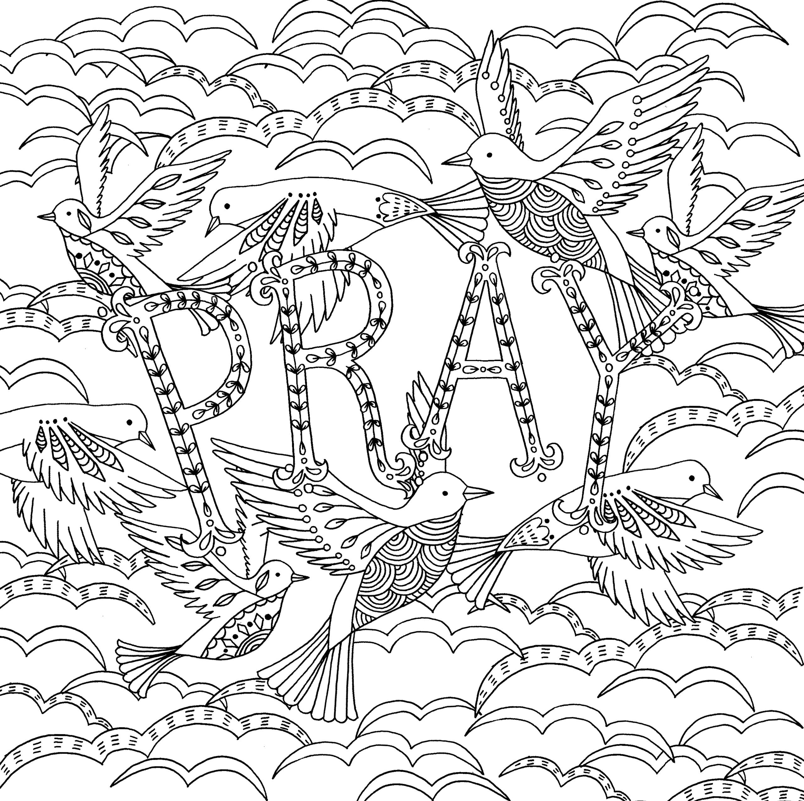 Color Me Blessed Inspirational Adult Coloring Book (31 stress-relieving designs) (Studio Series Artist's Coloring Book) (Artist's Coloring Books) used book depot