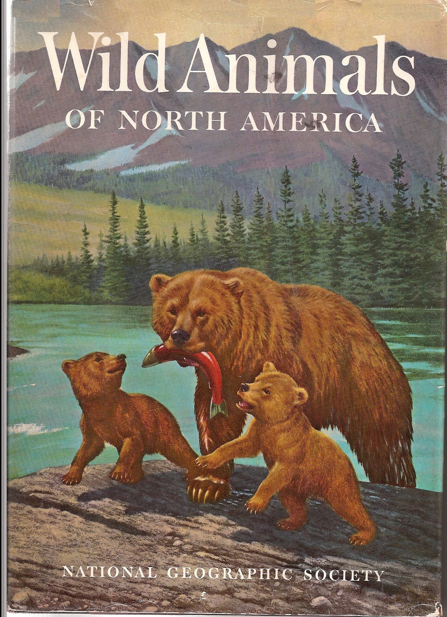 Wild Animals of North America used book depot