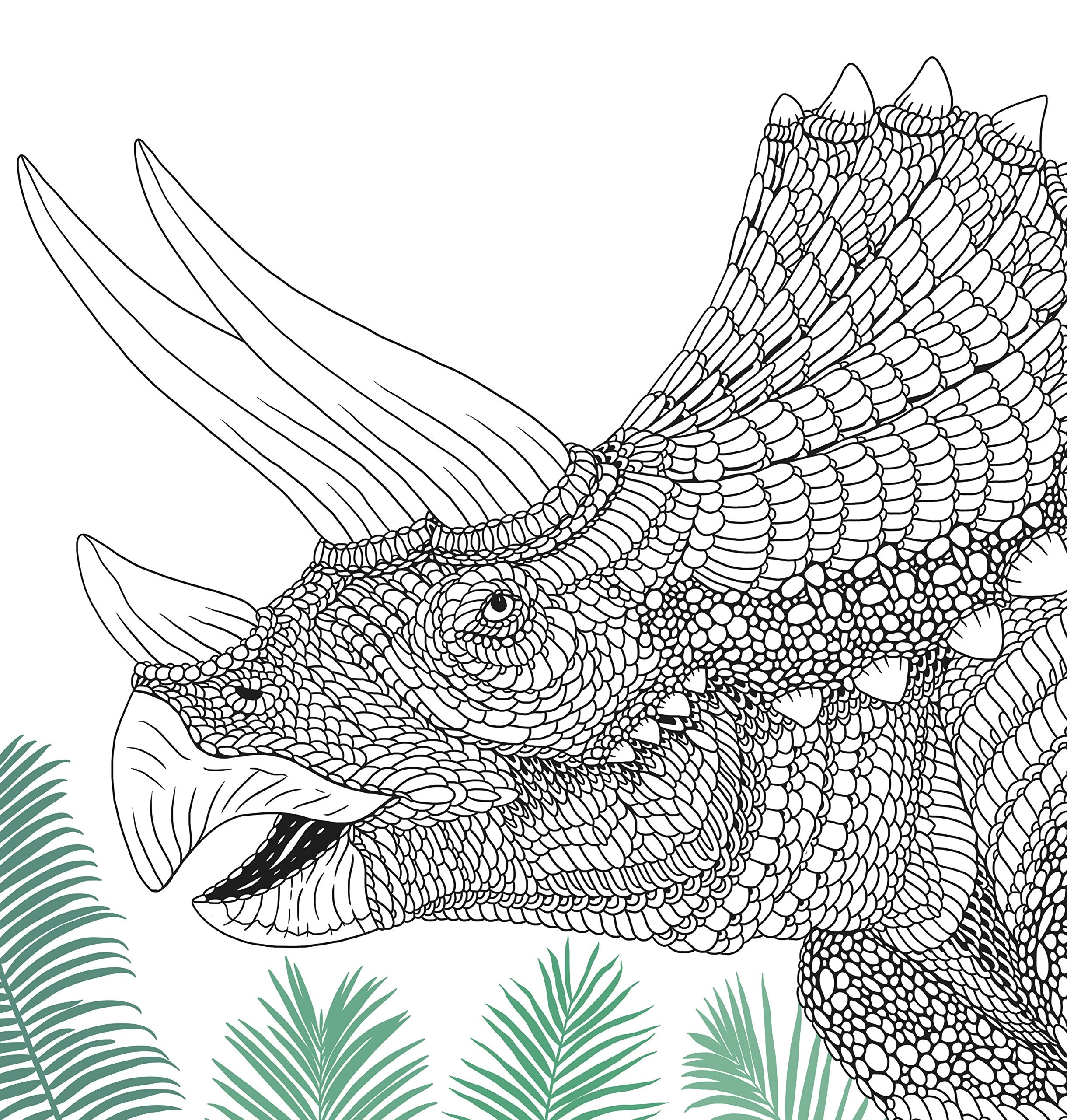 Dinosauria: Dinosaurs to Color and Facts to Discover used book depot