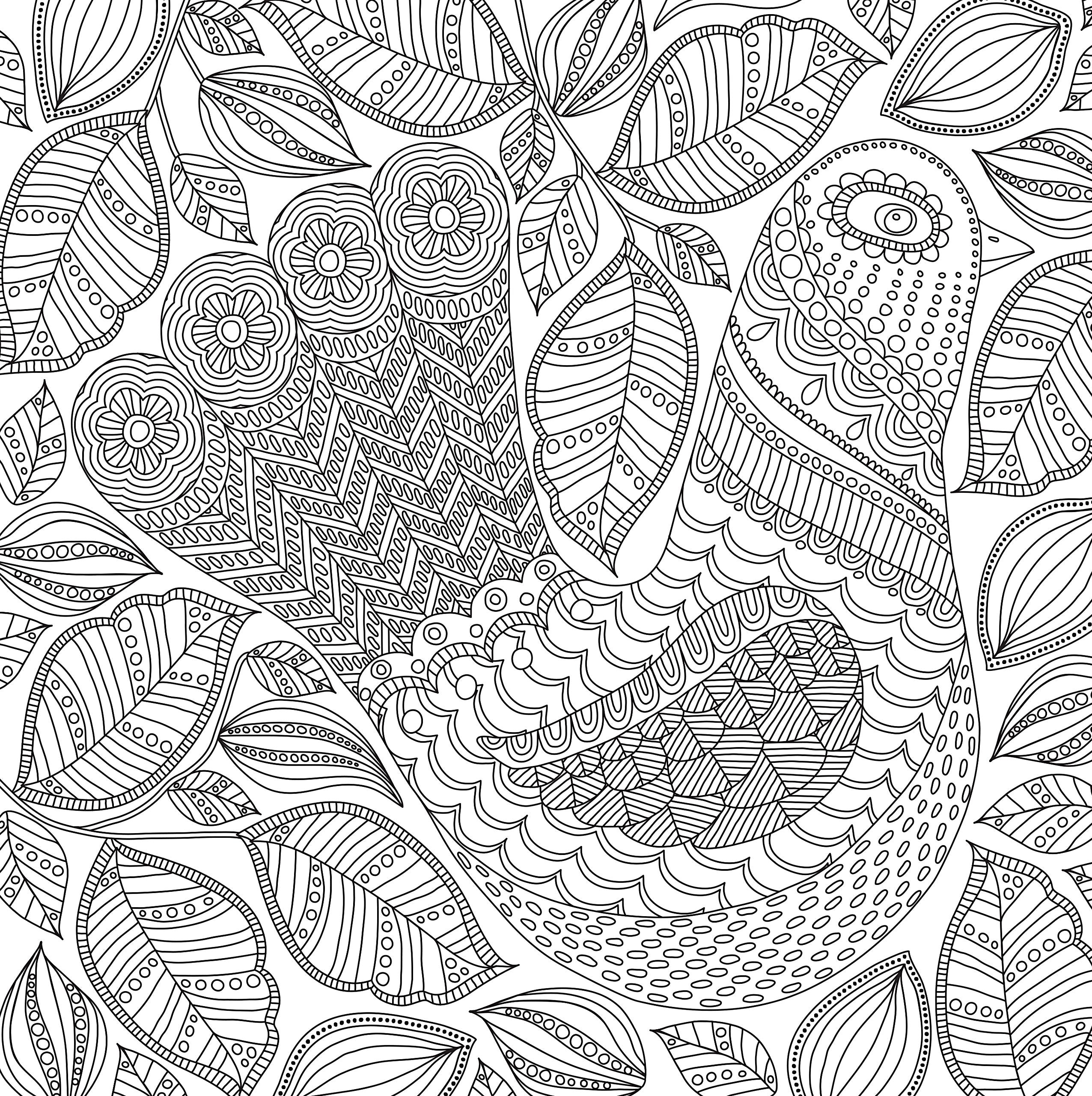 Blooms, Birds, & Butterflies (Studio Series Artist's Coloring Book)