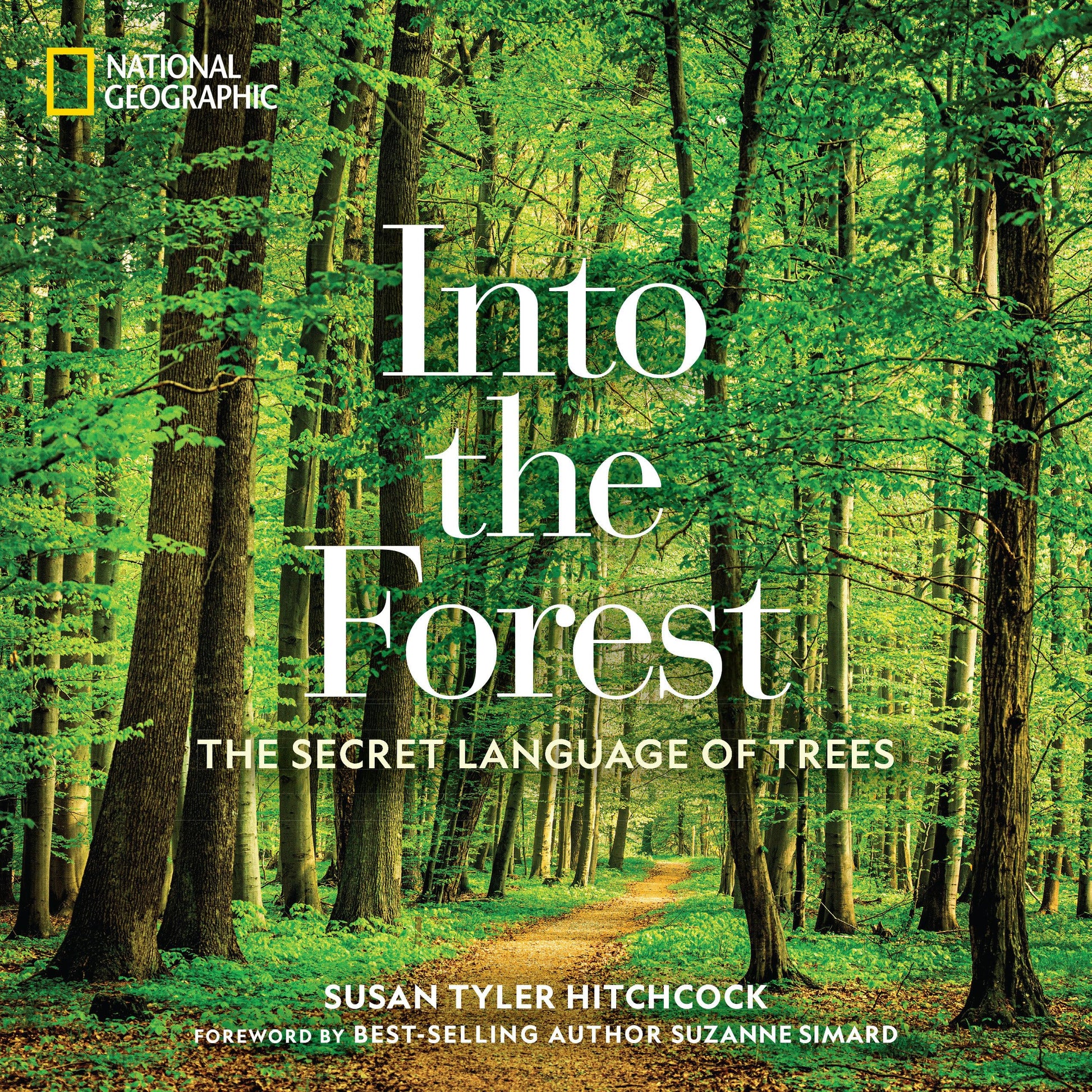 Into the Forest: The Secret Language of Trees used book depot