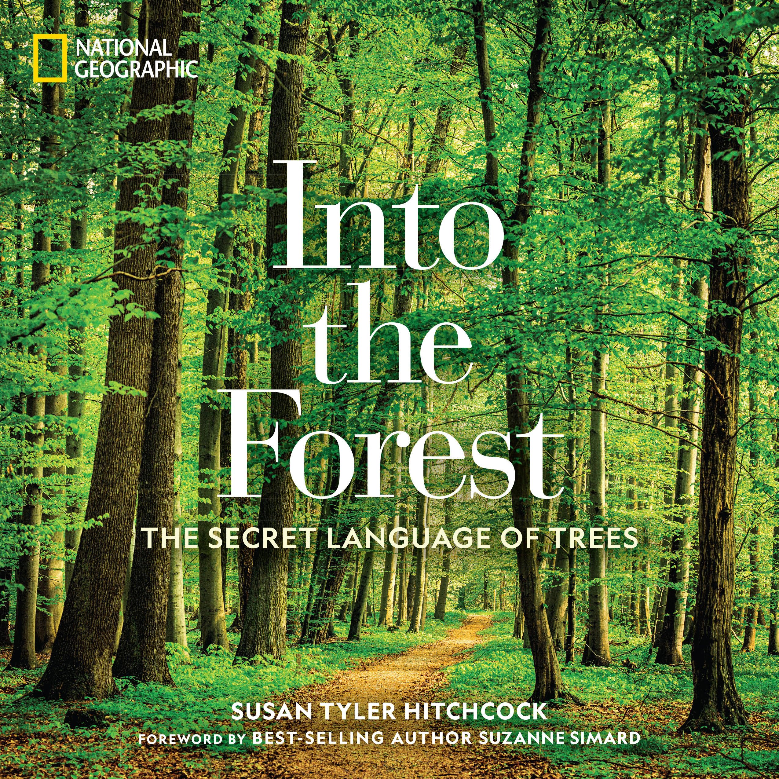 Into the Forest: The Secret Language of Trees used book depot