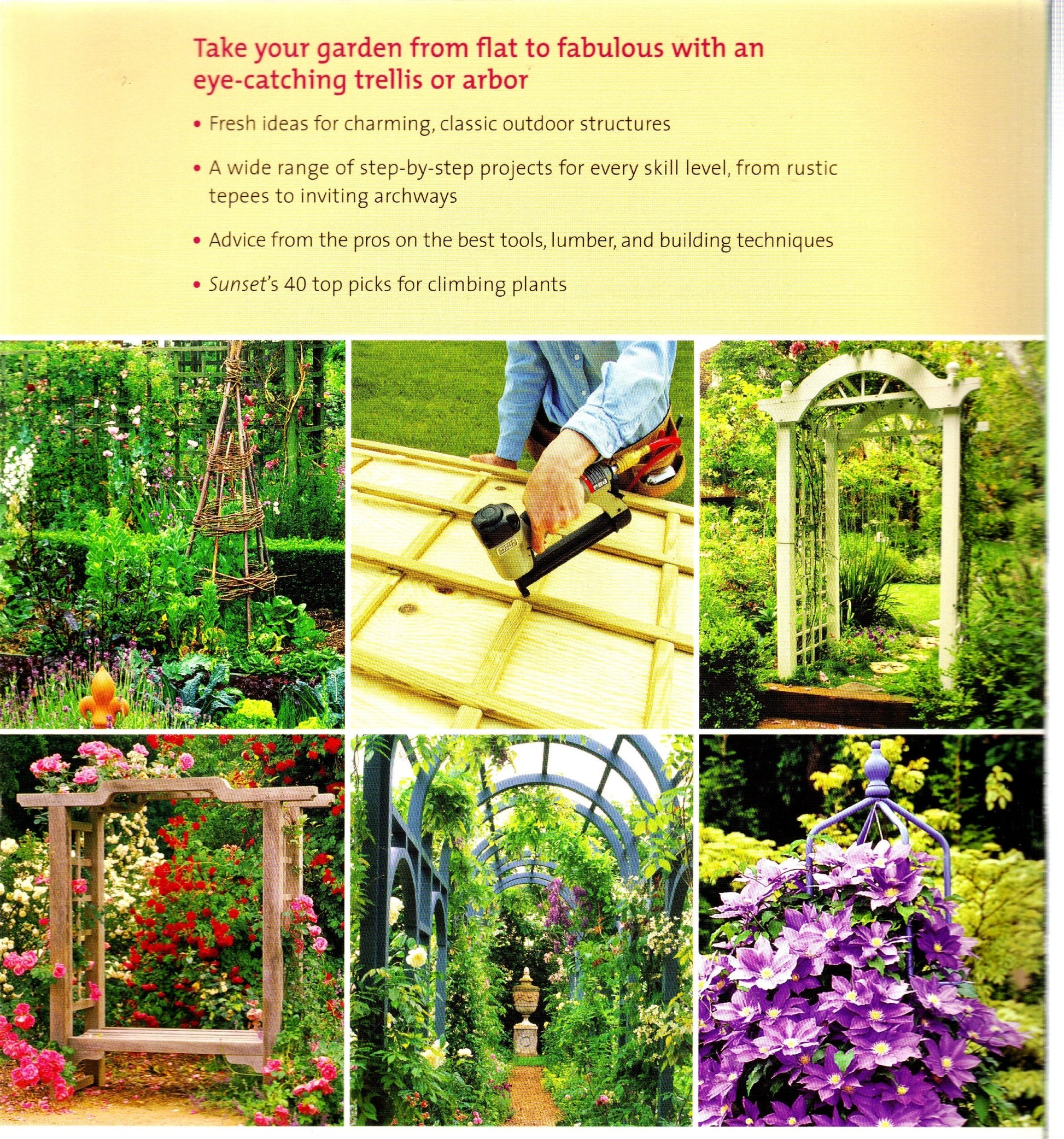 Trellises & Arbors: Over 35 Step-by-step Projects You Can Build used book depot