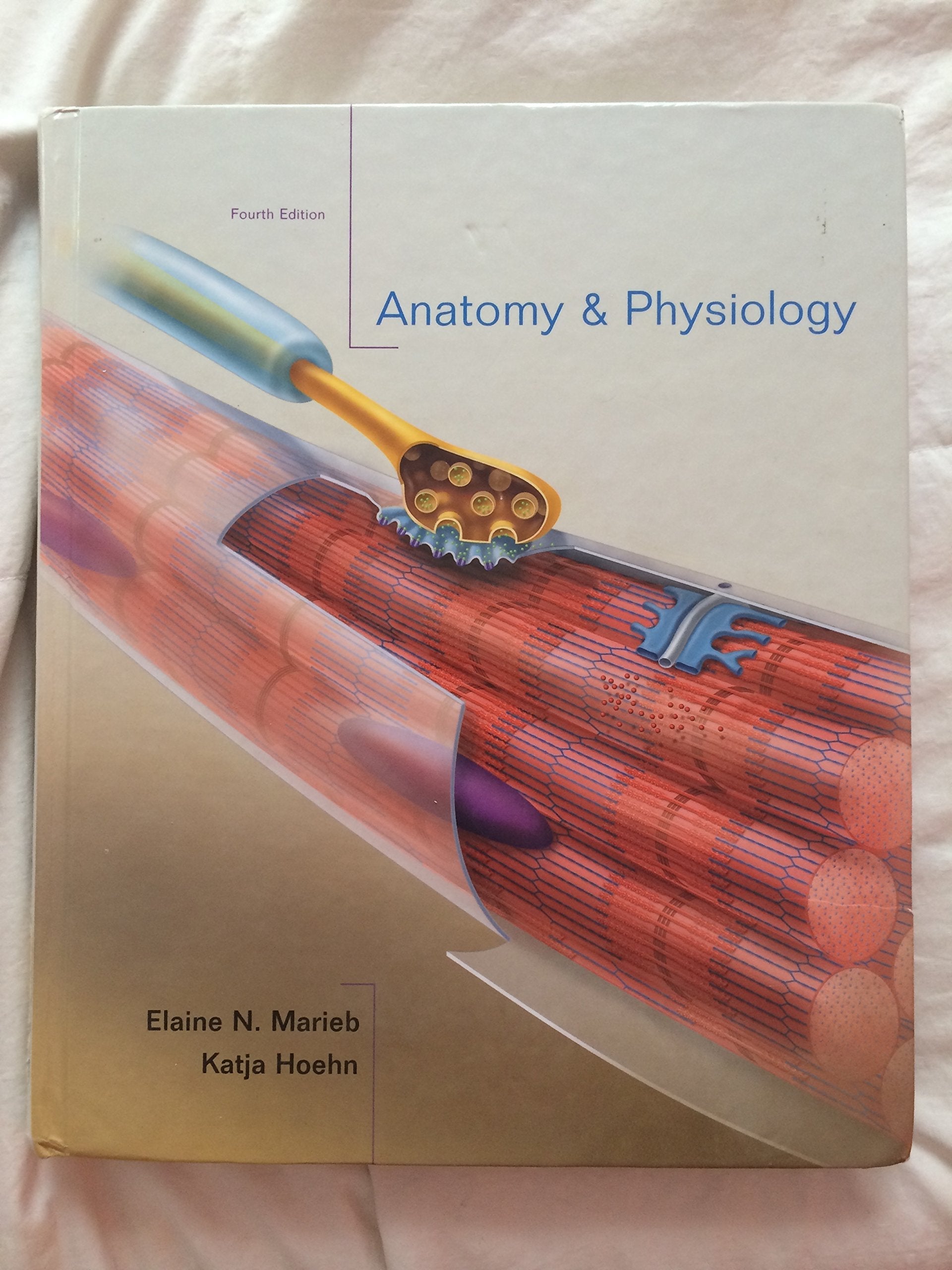 Anatomy & Physiology, 4th Edition used book depot
