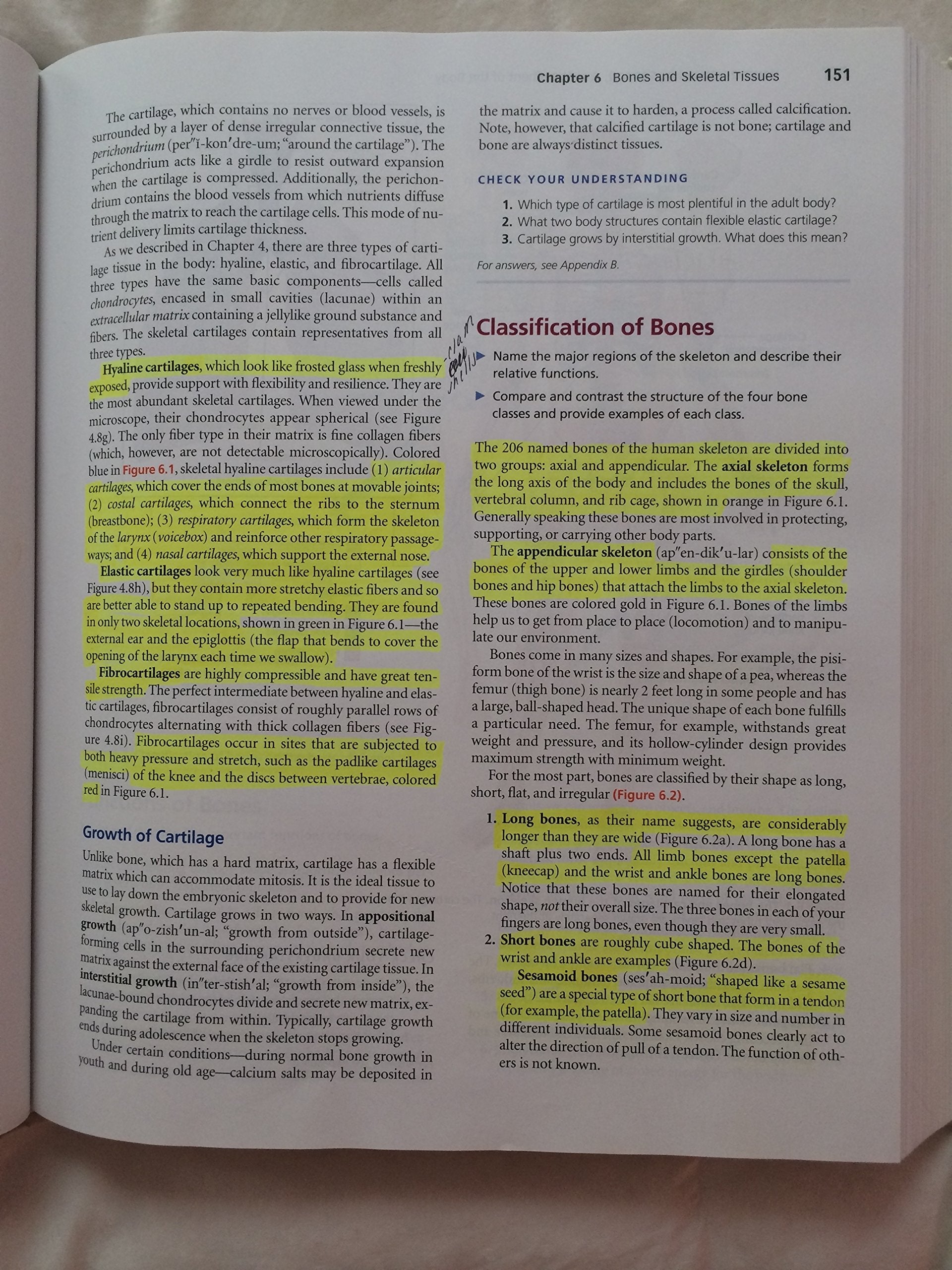 Anatomy & Physiology, 4th Edition used book depot