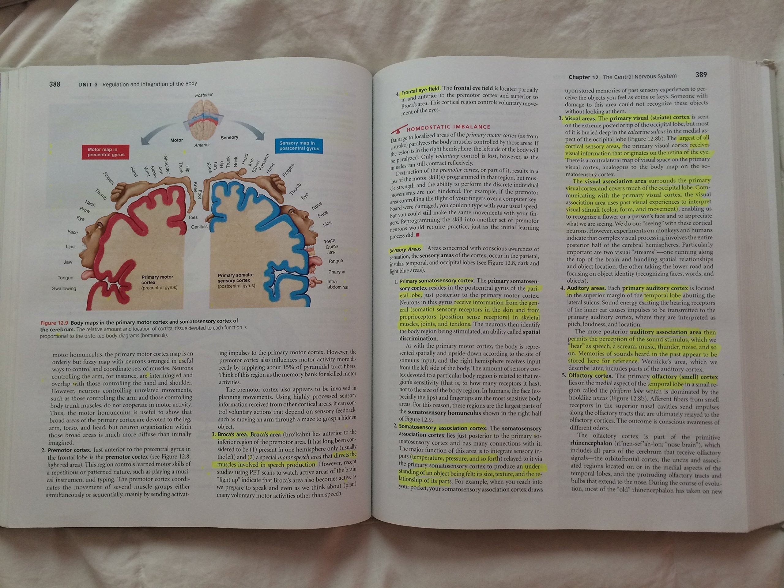 Anatomy & Physiology, 4th Edition used book depot