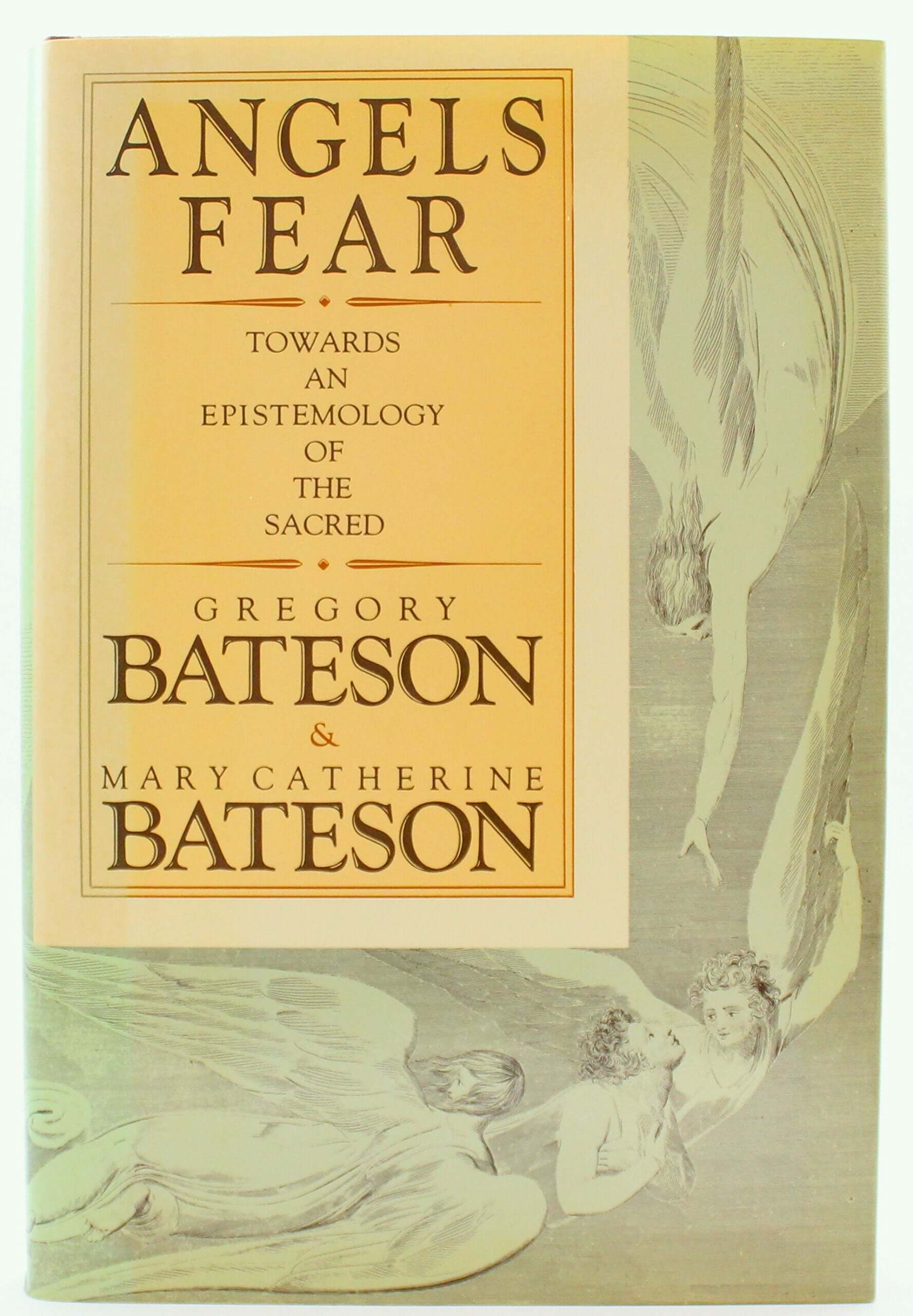 Angels Fear: Towards an Epistemology of the Sacred used book depot