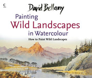 David Bellamy’s Painting Wild Landscapes in Watercolour used book depot
