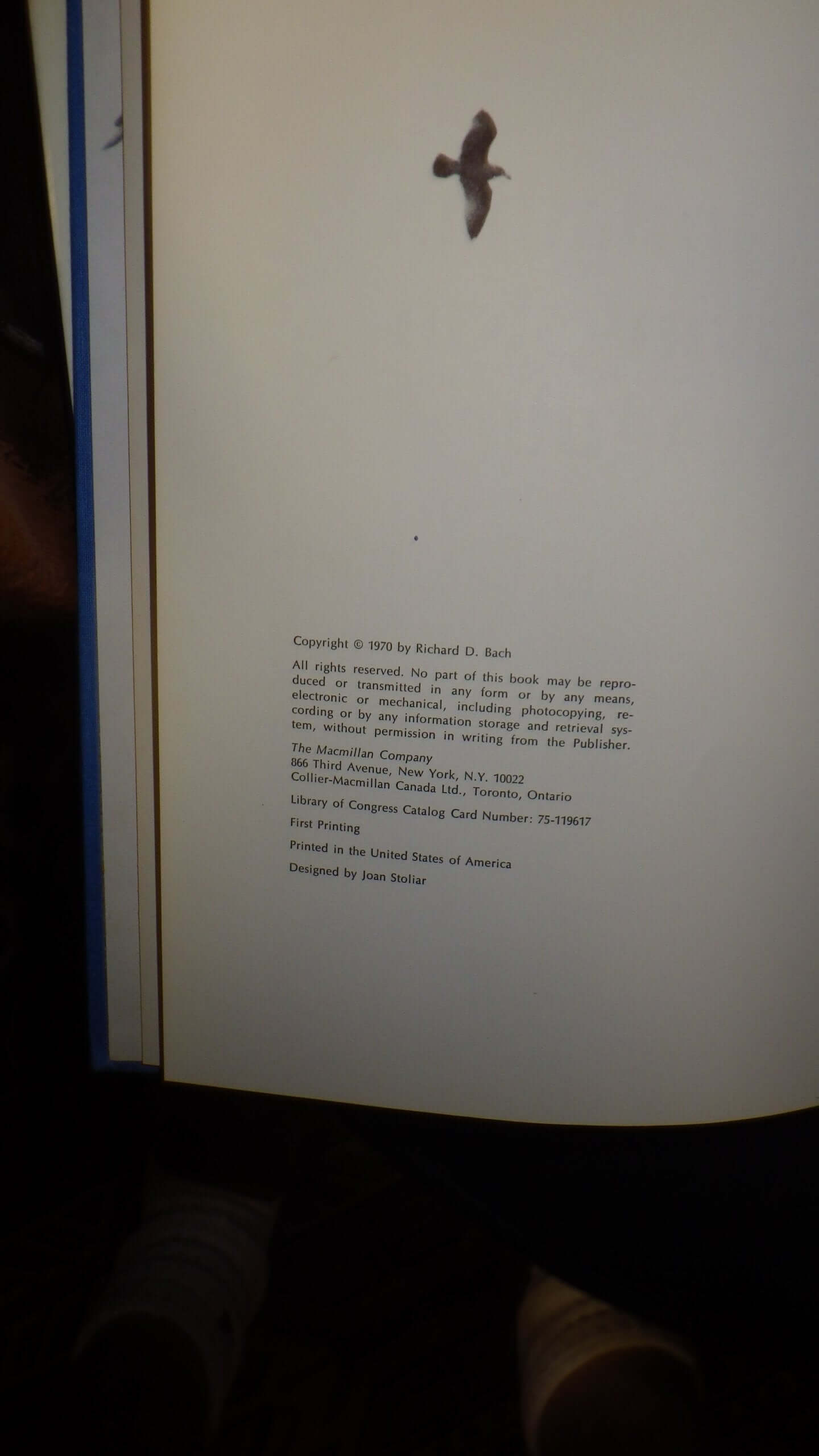 Jonathan Livingston Seagull used book depot