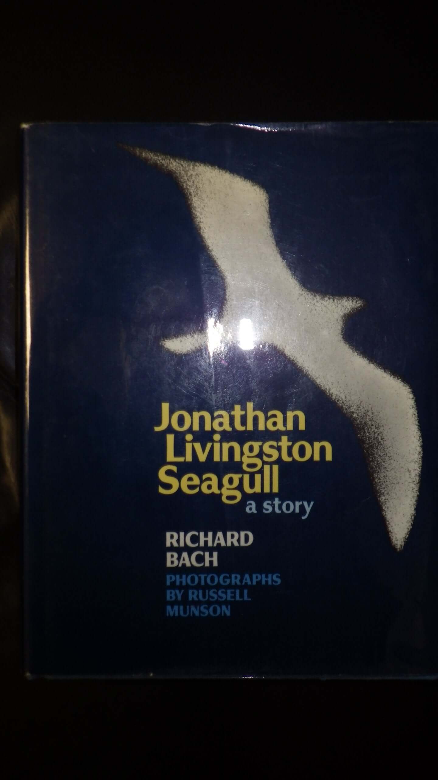Jonathan Livingston Seagull used book depot