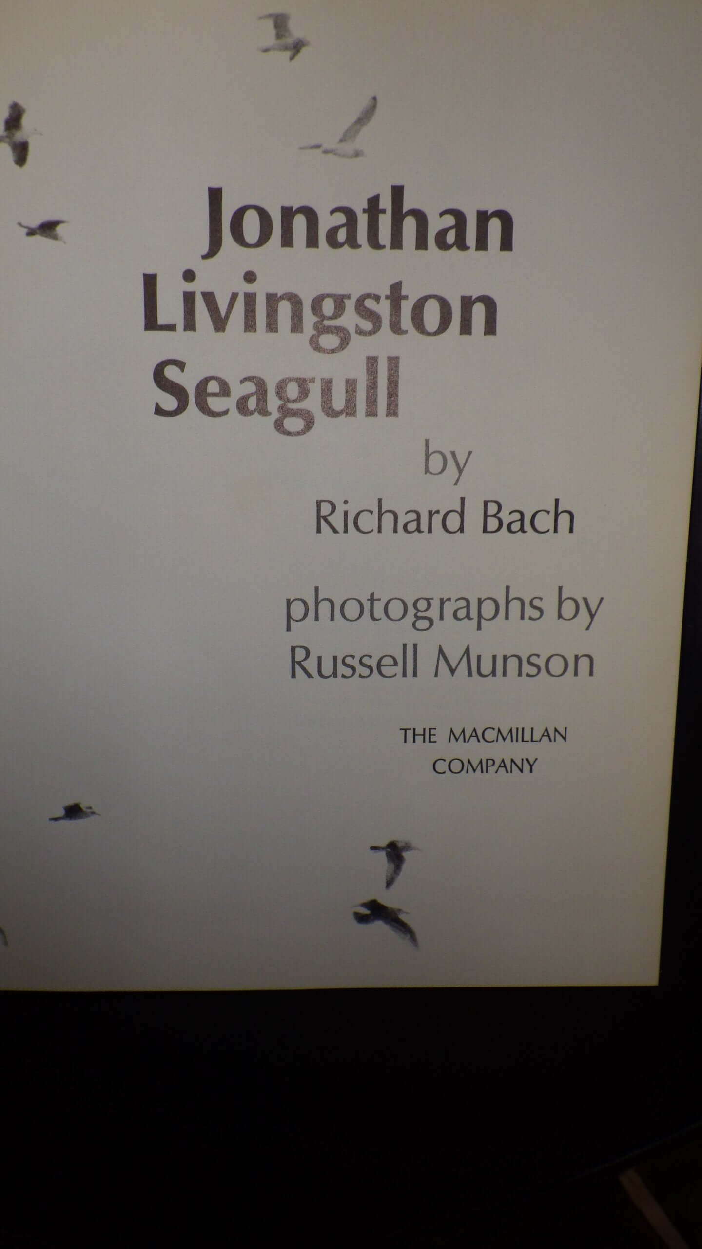 Jonathan Livingston Seagull used book depot