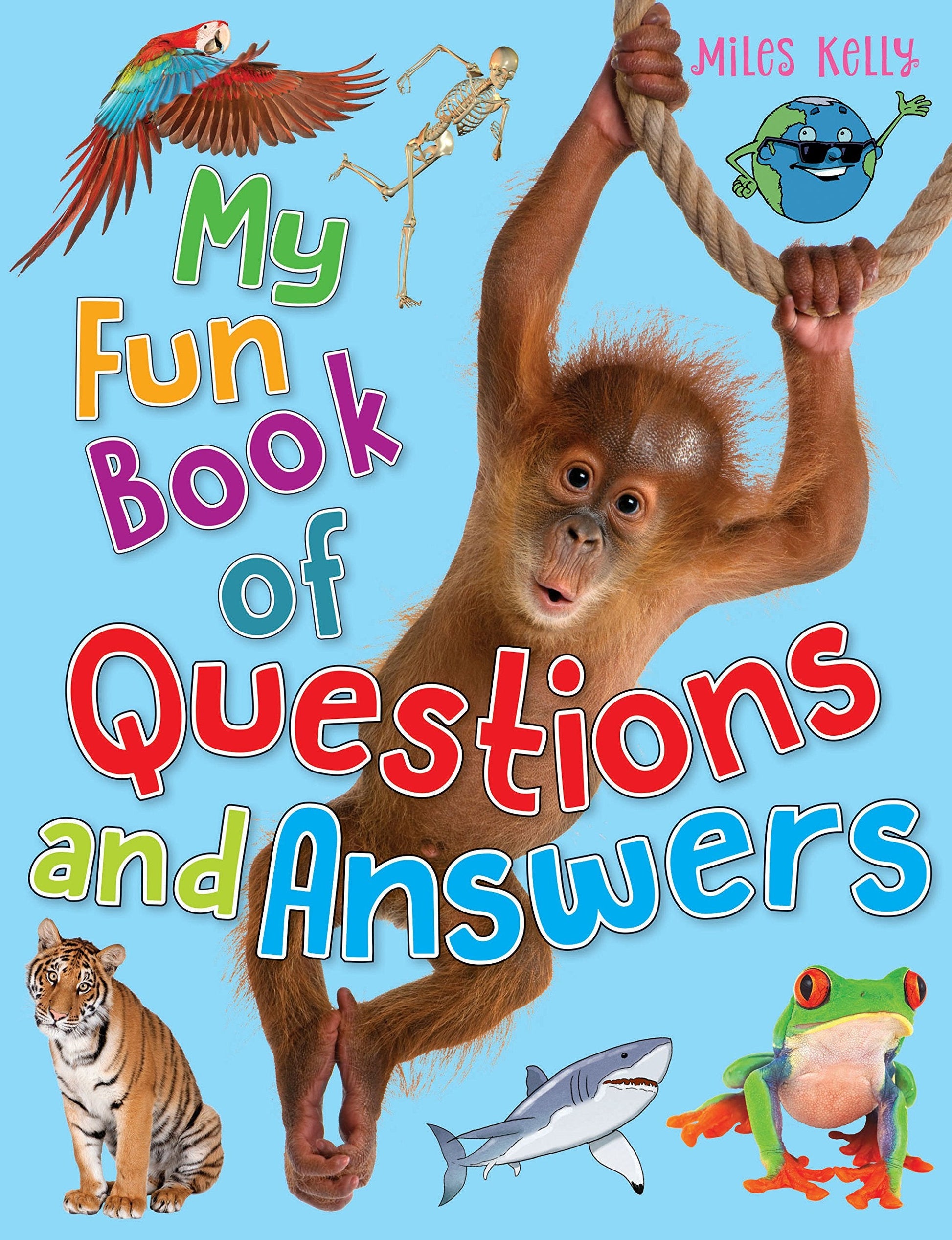 My Fun Book of Questions and Answers used book depot