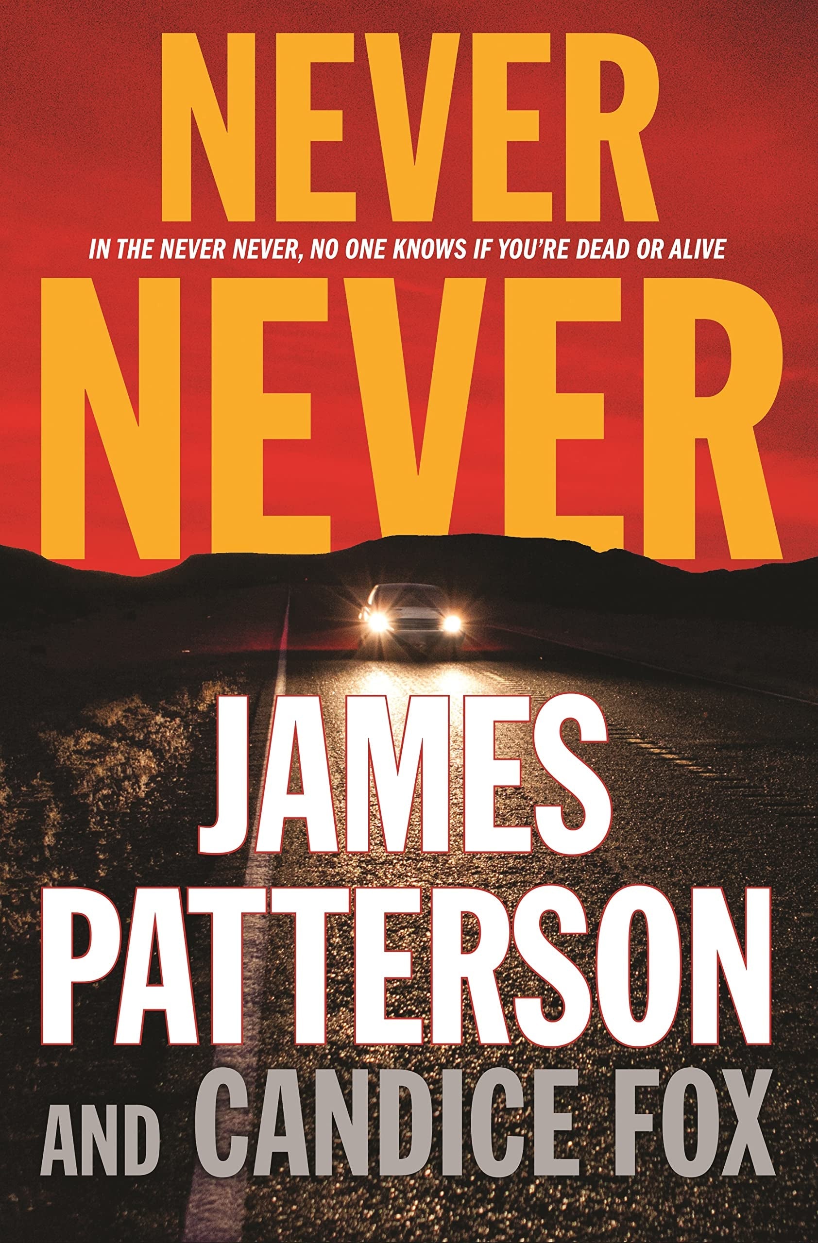 Never Never (Harriet Blue, 1) used book depot
