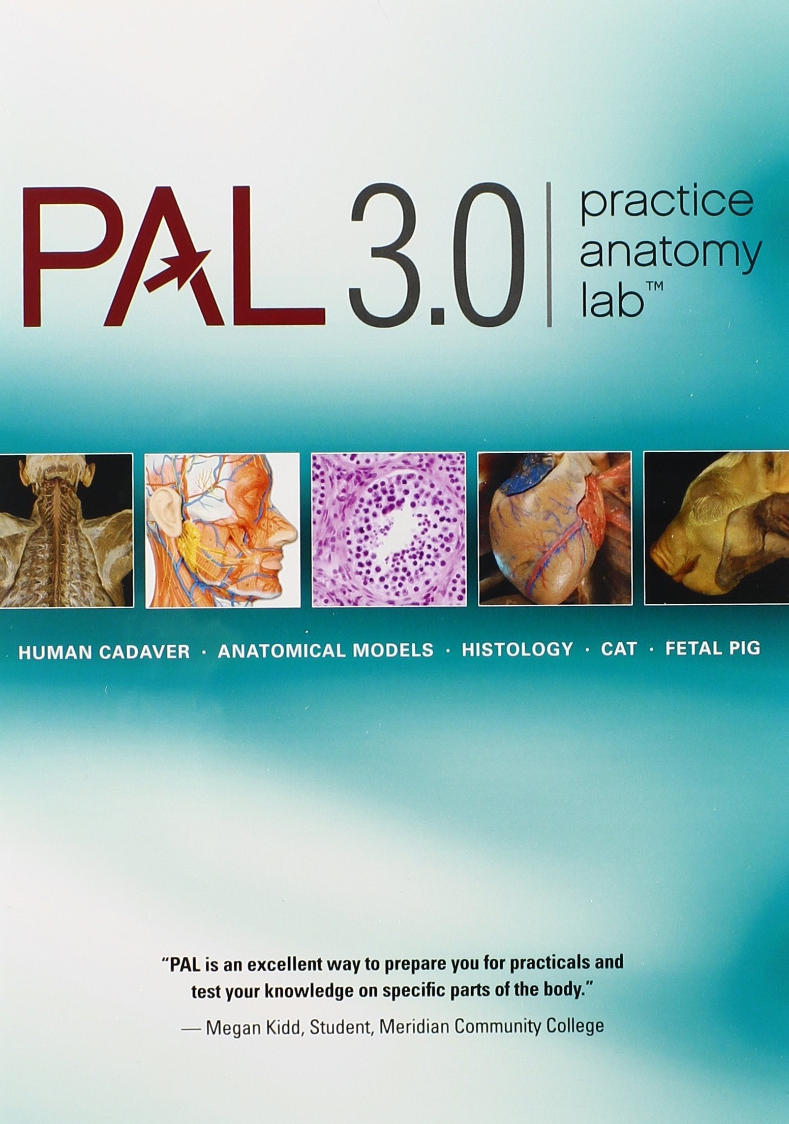 Human Anatomy & Physiology, Main Version used book depot