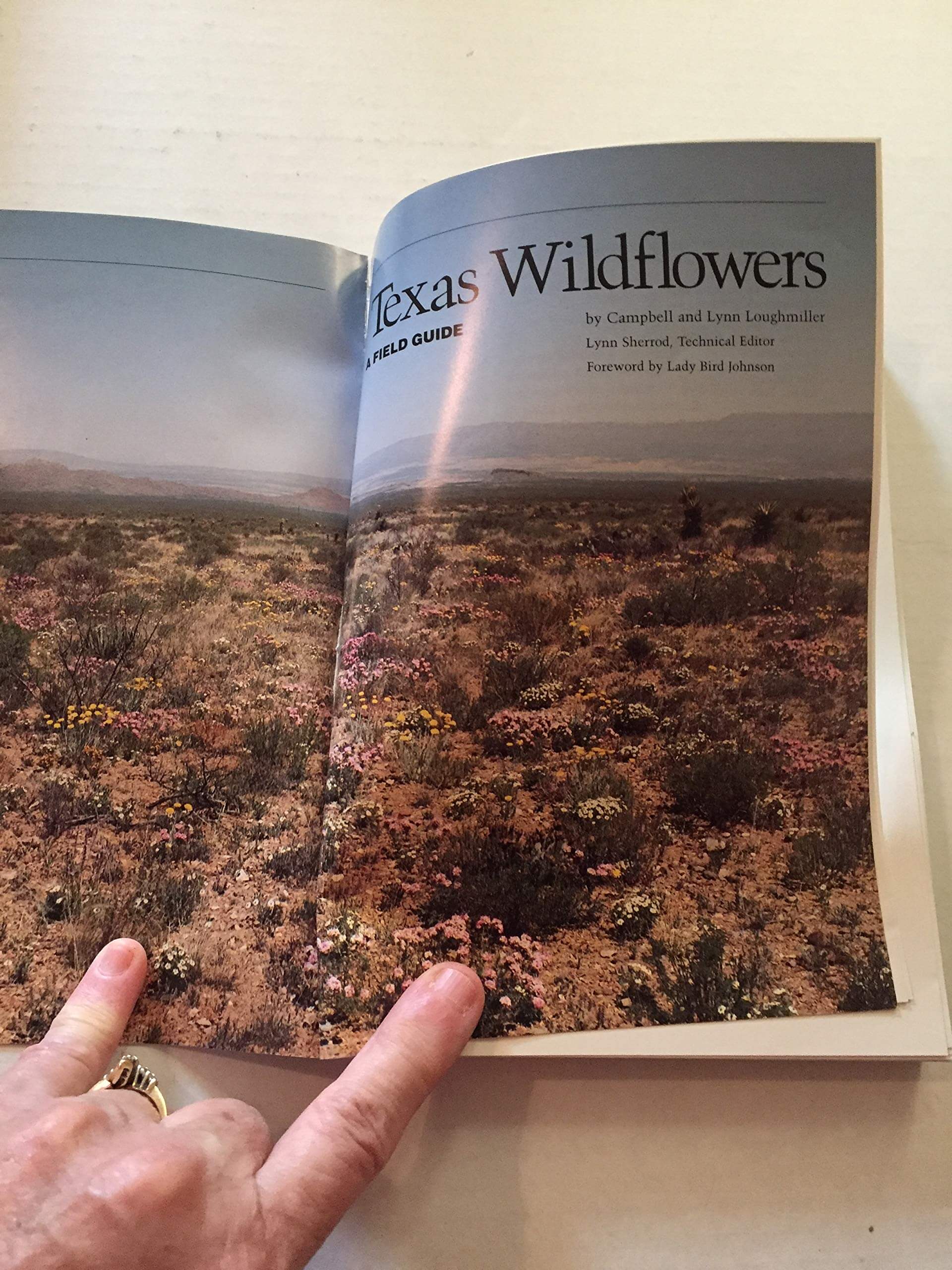 Texas Wildflowers: A Field Guide used book depot