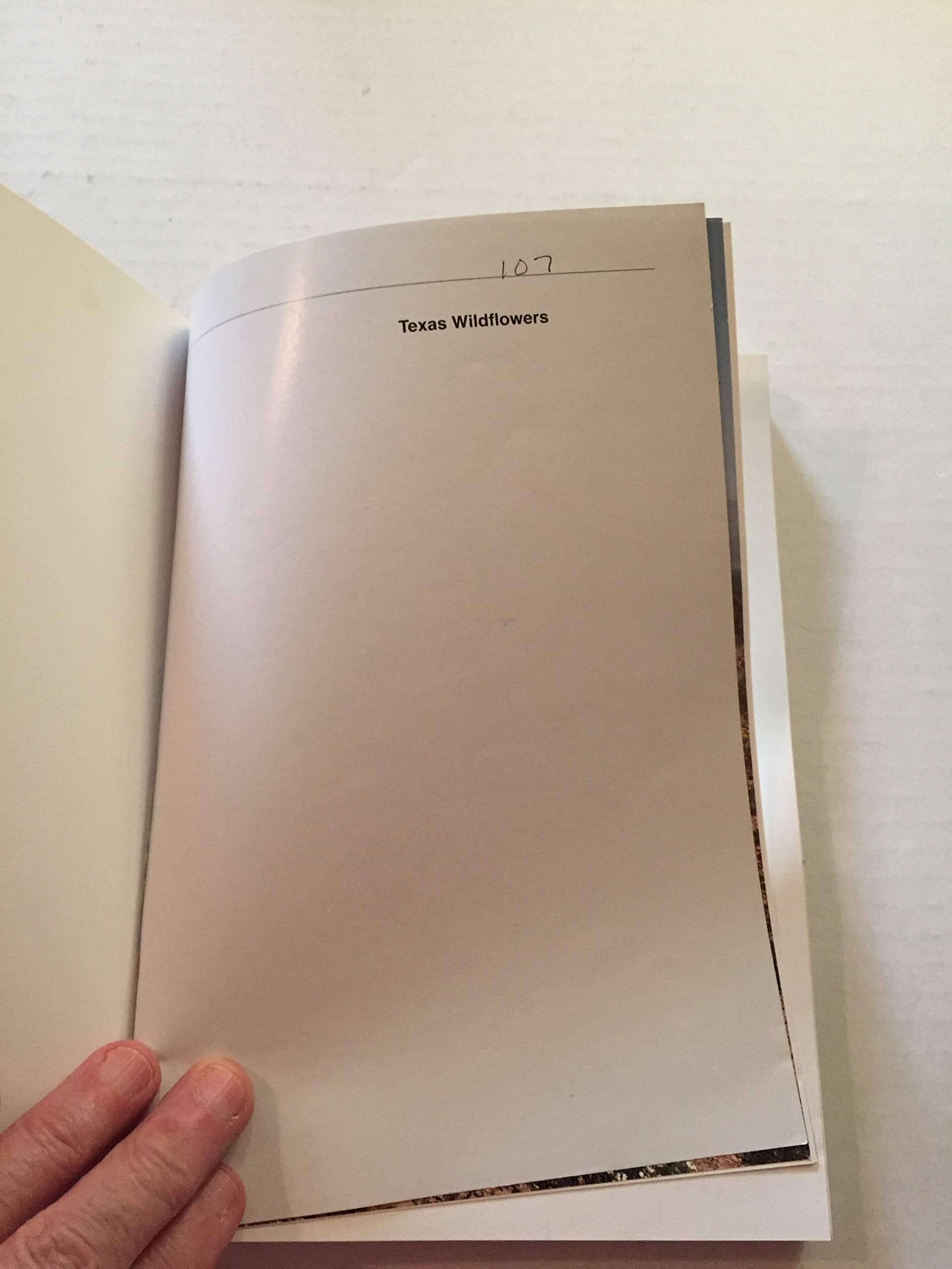 Texas Wildflowers: A Field Guide used book depot