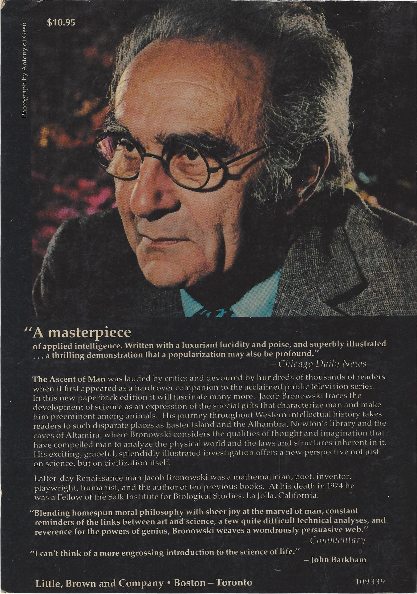 The Ascent of Man used book depot