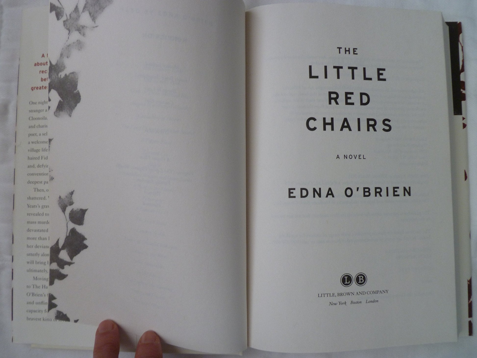 The Little Red Chairs used book depot