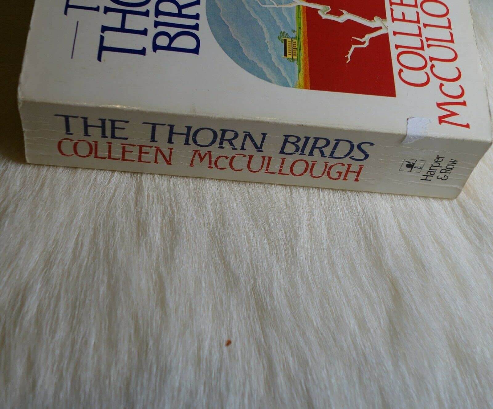 The Thorn Birds used book depot