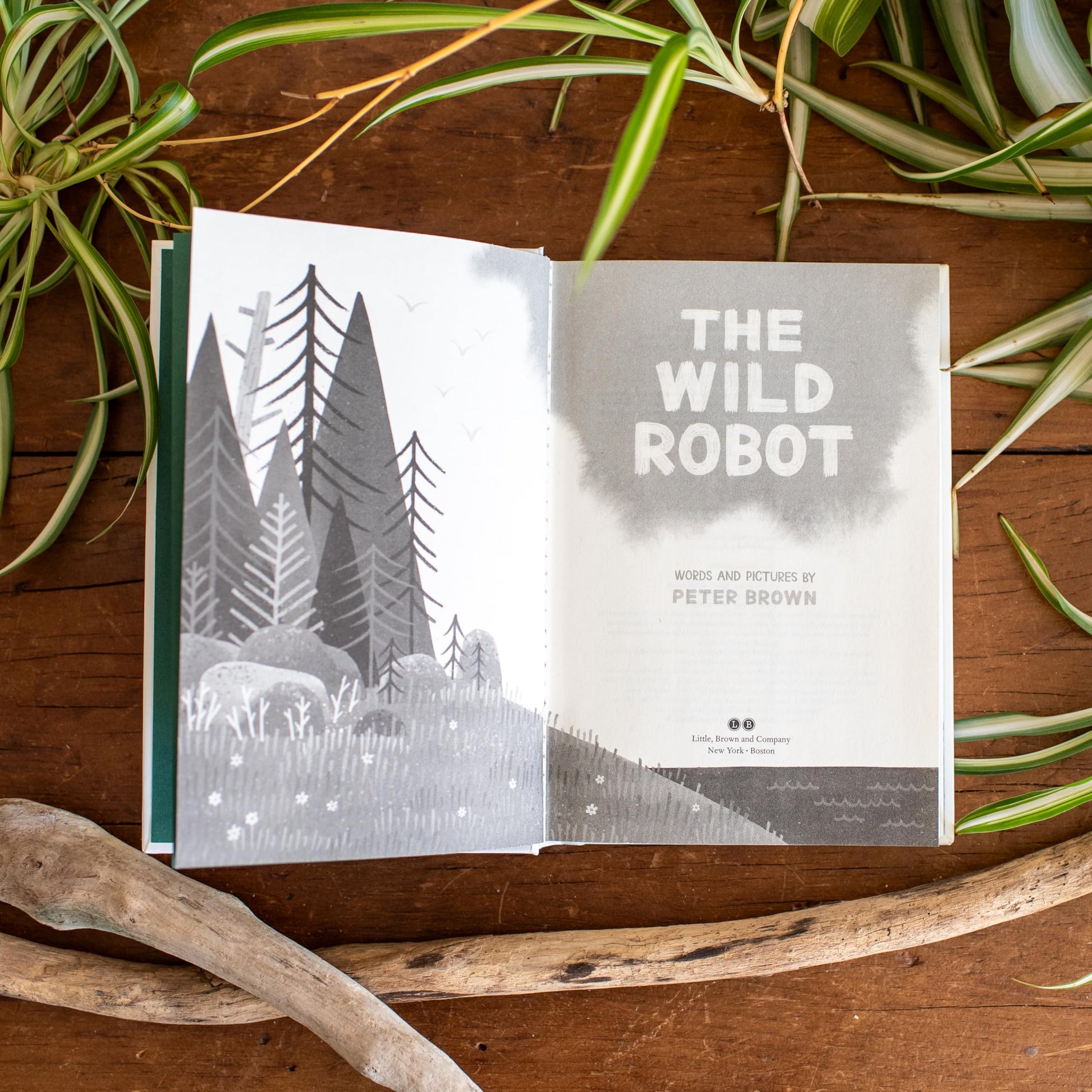 The Wild Robot (Volume 1) (The Wild Robot, 1) used book depot