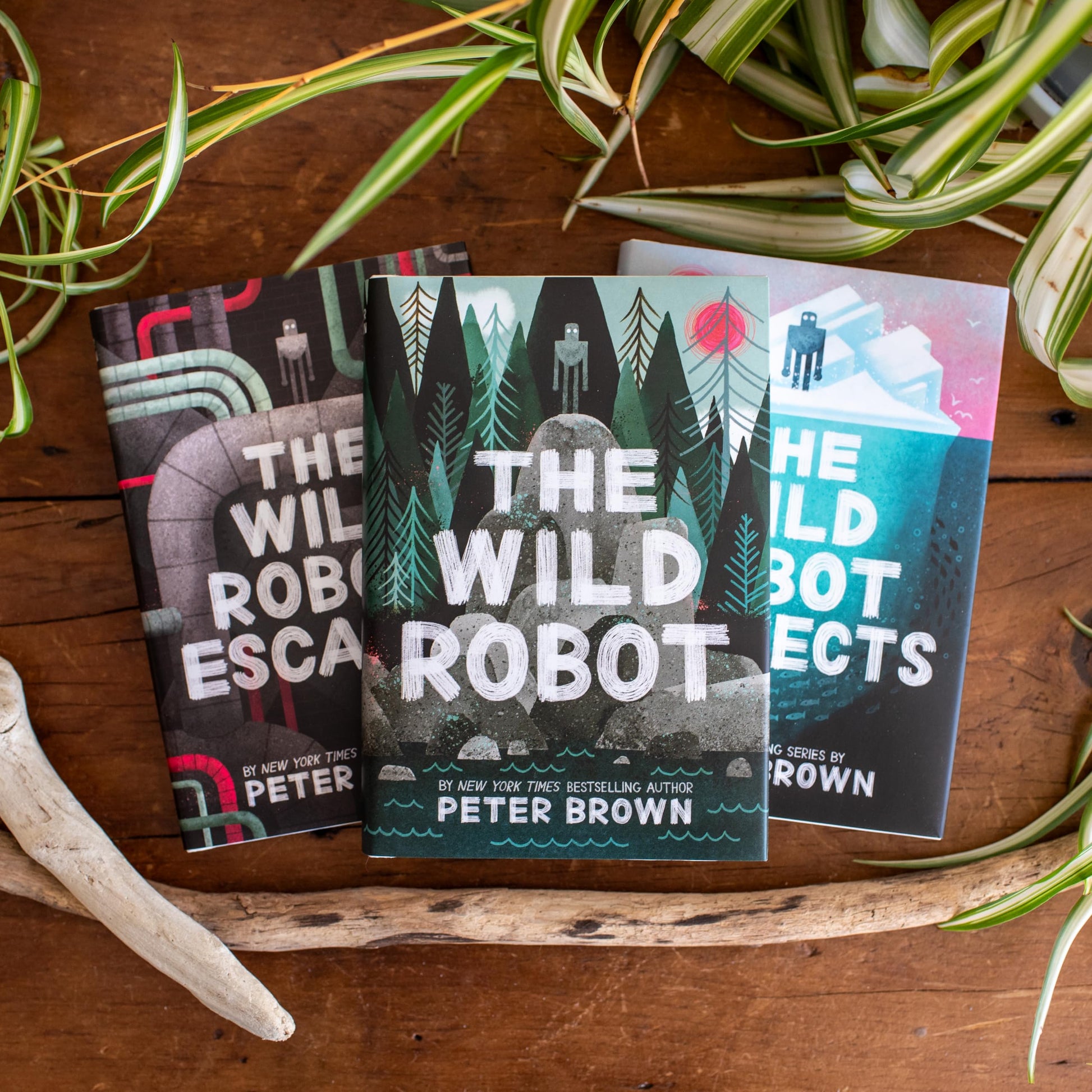 The Wild Robot (Volume 1) (The Wild Robot, 1) used book depot
