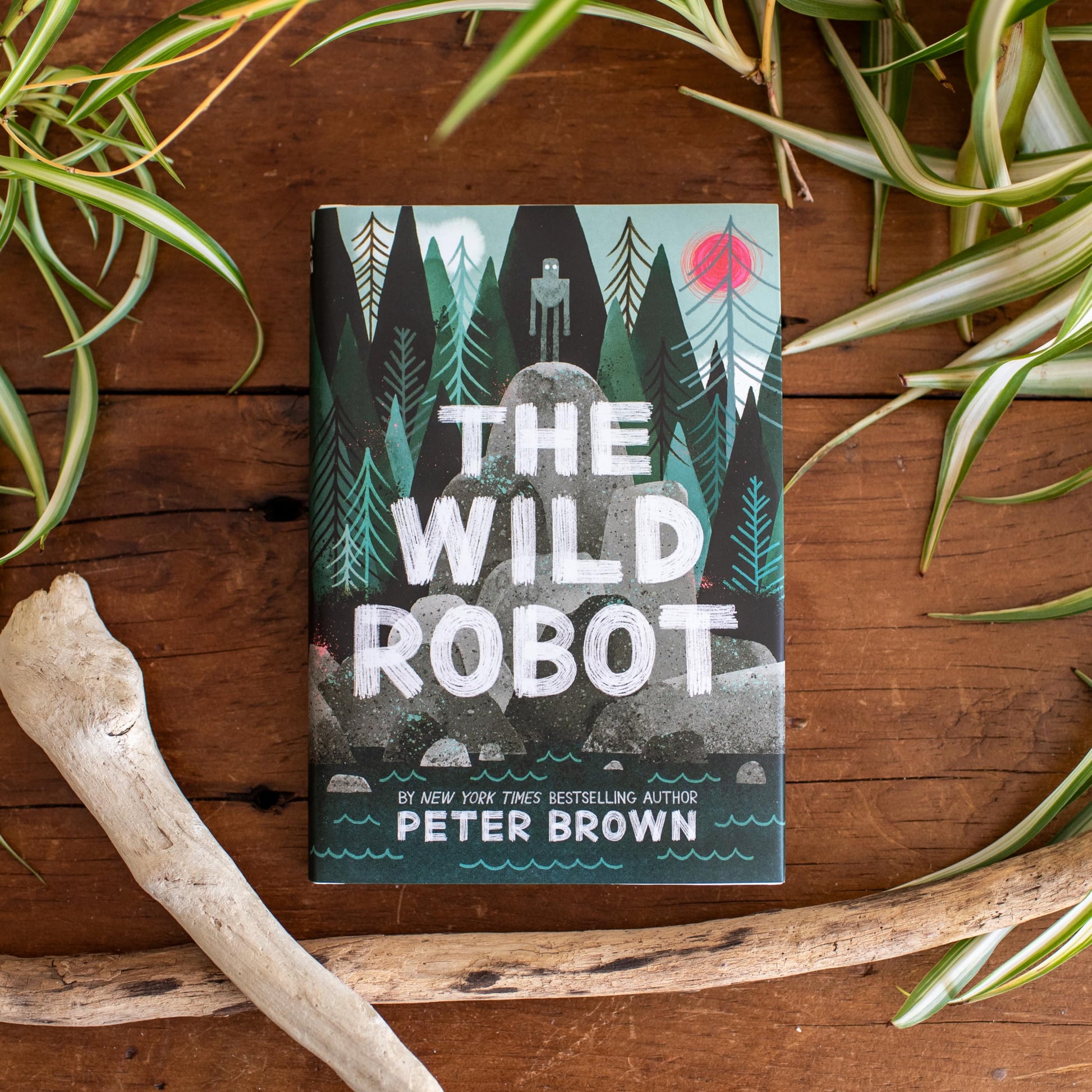 The Wild Robot (Volume 1) (The Wild Robot, 1) used book depot