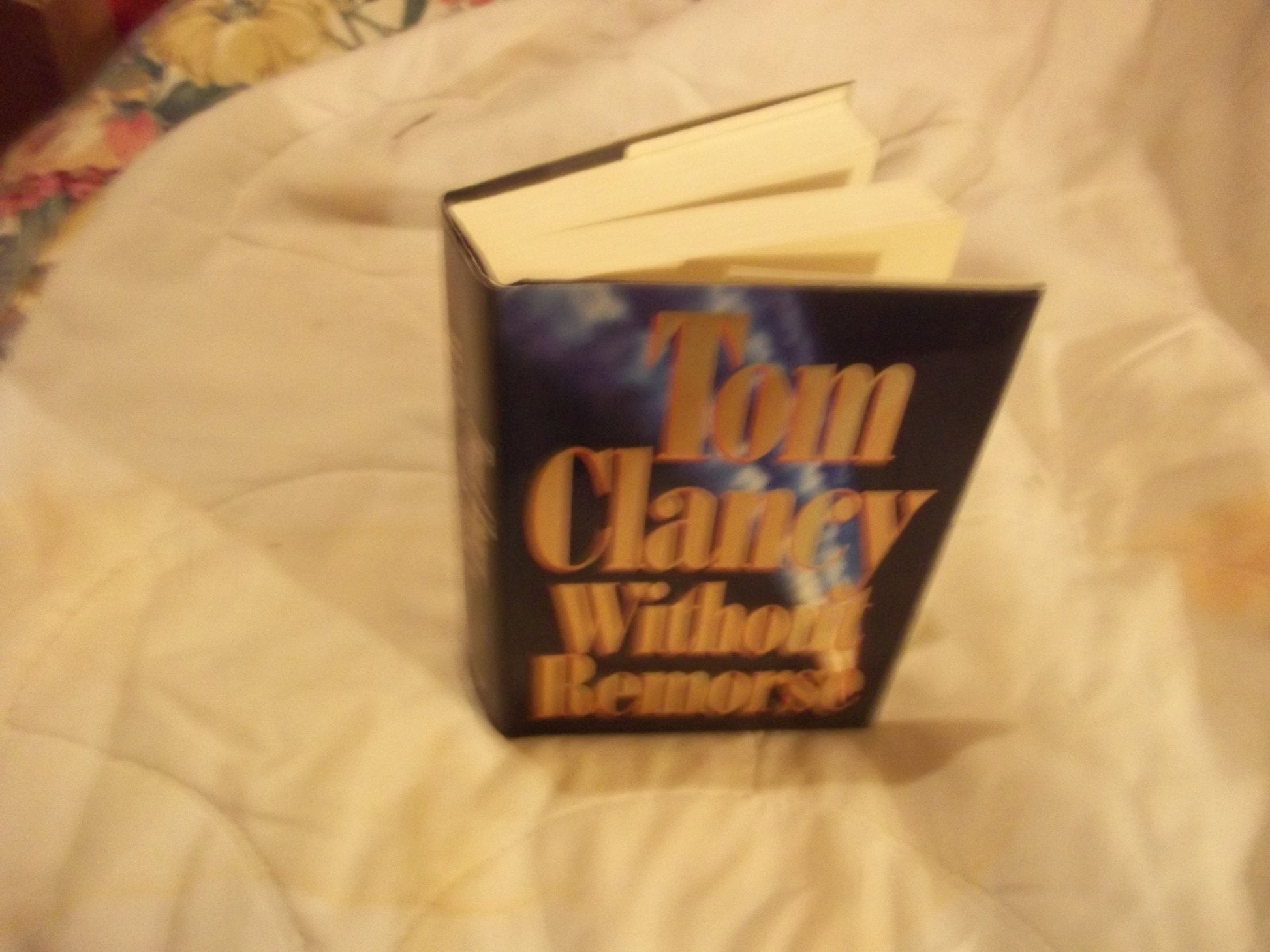 Without Remorse used book depot