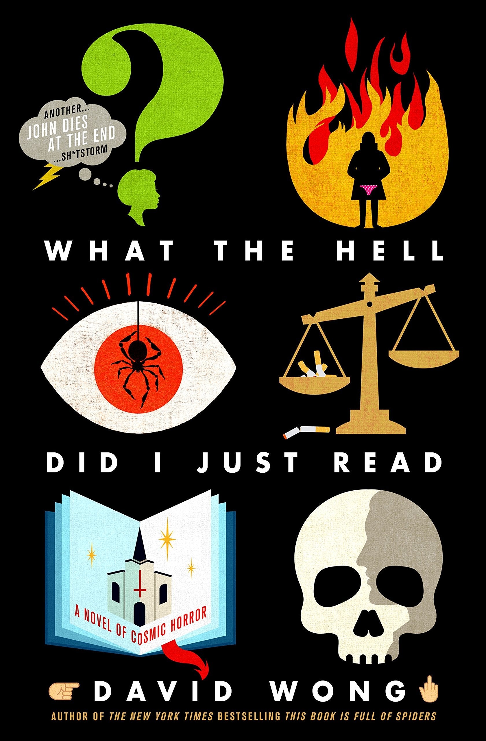 What the Hell Did I Just Read: A Novel of Cosmic Horror (John Dies at the End, 3) used book depot