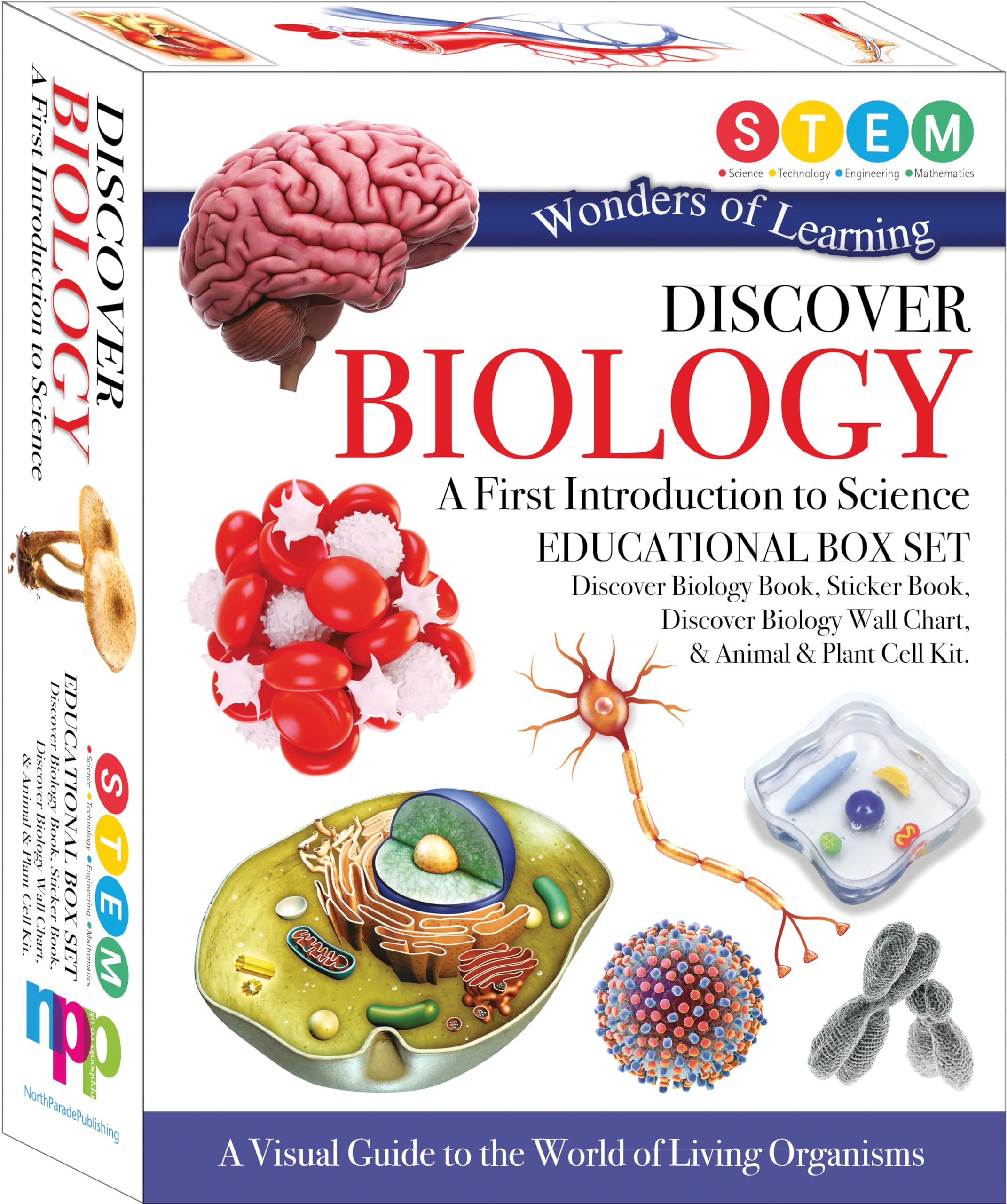 Wonders Of Learning WOLNBS25 6" Educational Box Set, Medium used book depot